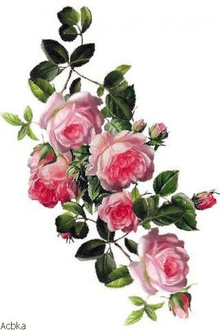 file_75264759