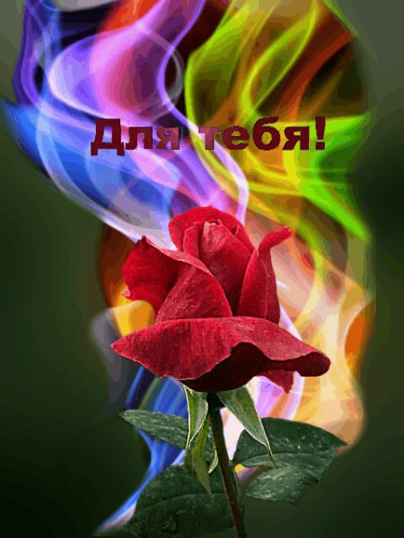 Poзa Для тебя