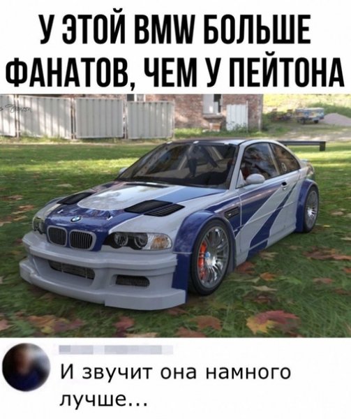 file_81354681