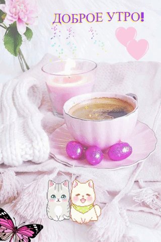 file_76415442