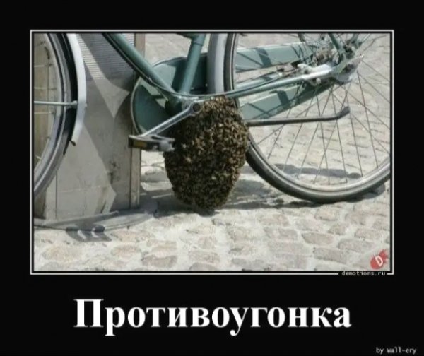 file_84671182