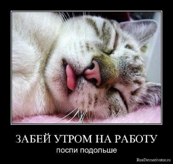 Забей утром на работу, поспи подольше