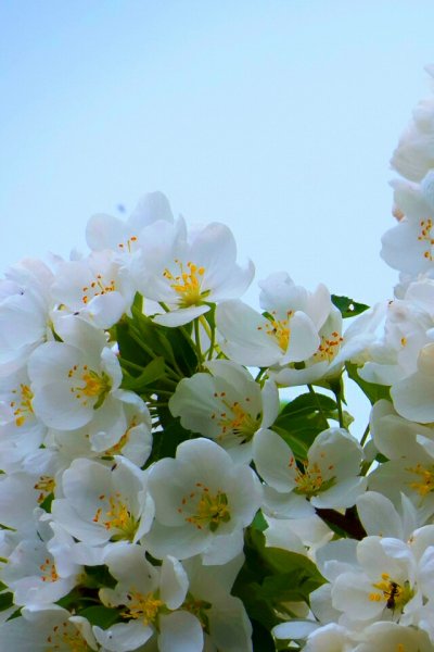 file_67697916