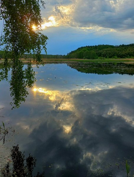 file_100713670