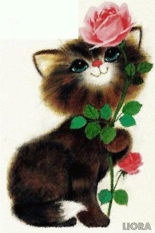 file_79768207