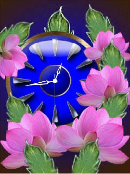 Лотосы