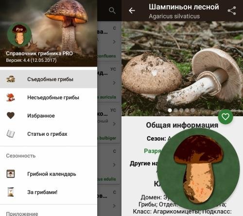 Справочник грибника 4.4 [Pro]