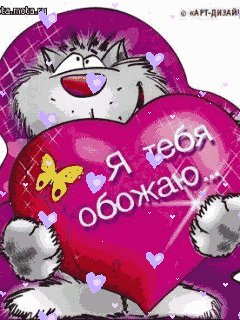 я тебя обожаю