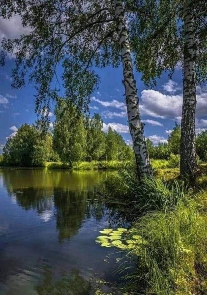 FB IMG 1714515453284