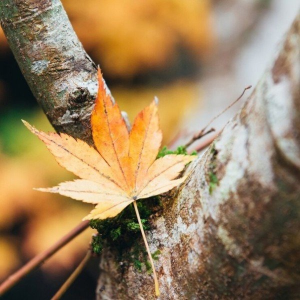 file_94968598