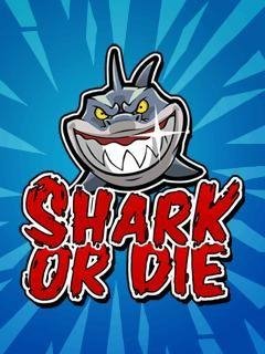 shark or die 240x400