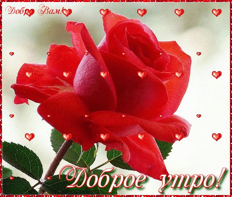 доброе утро 101405