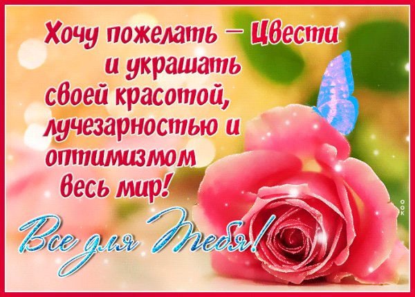 Всё для тебя