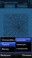 spider