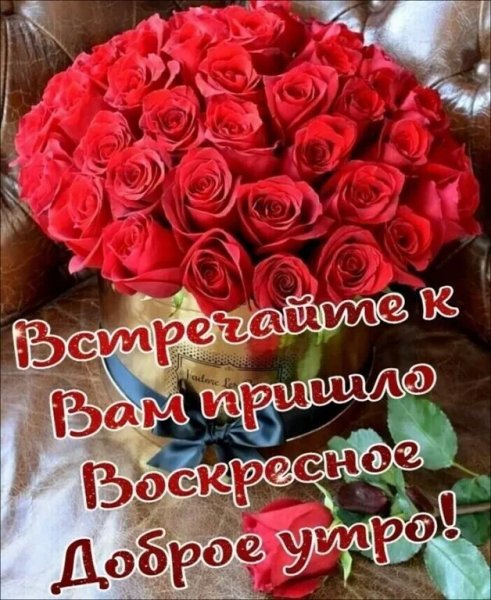 IMG 20240304 030613