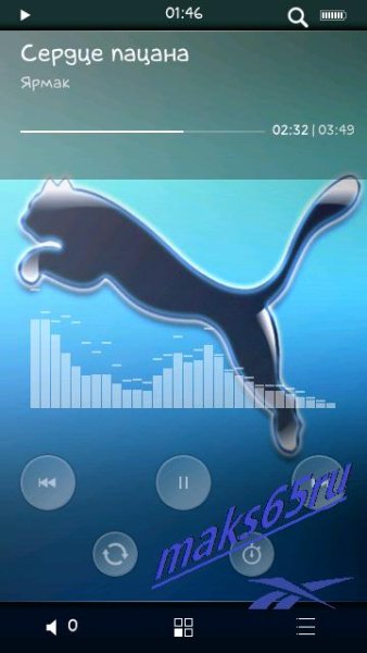 Skin TTpod by maks65ru