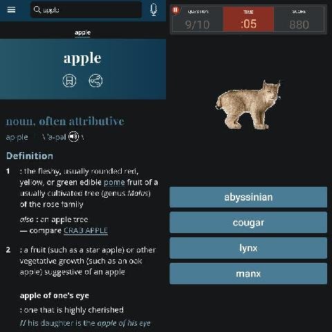 Dictionary - M-W Premium v5.3.12 [Mod Extra] (armeabi-v7a)