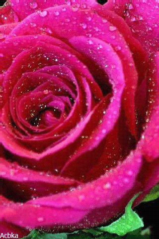 file_77381858