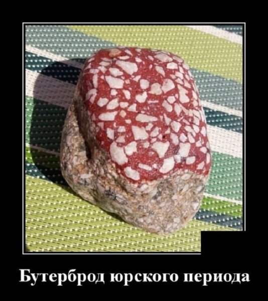Бутерброд Юрского периода