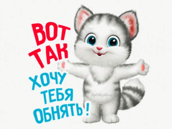 vot-tak-xochu-tebya-obng