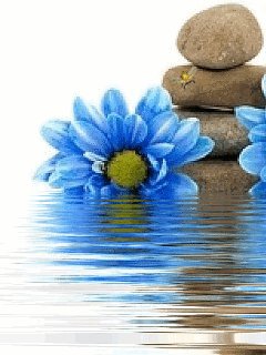file_58203330