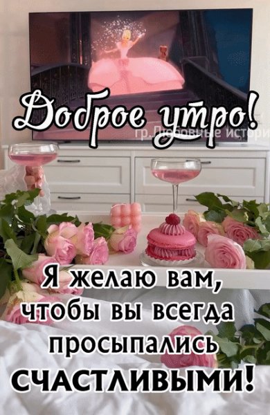 IMG 20240218 153146