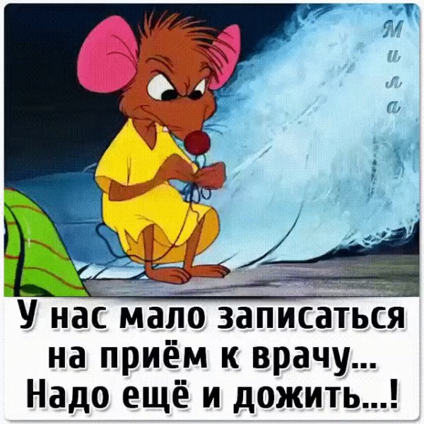 IMG 20260503 060134