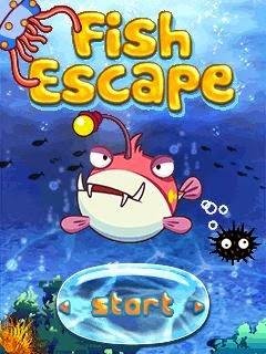 FishEscape-240x320SAM S3650 Corby