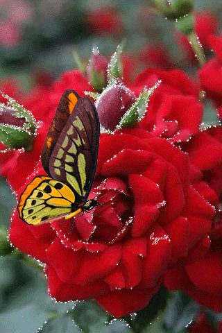 file_50461087