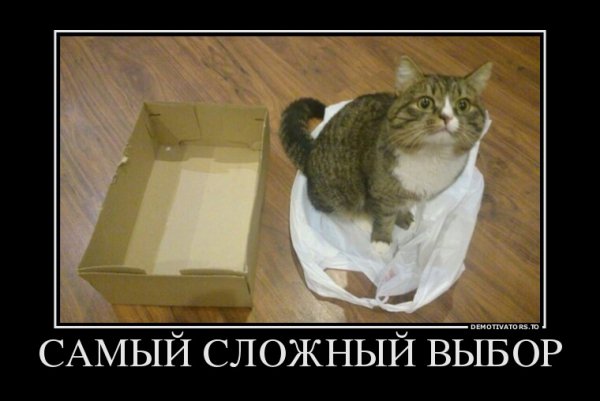 file_64531663