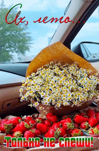 Анимированная открытка ах лето только