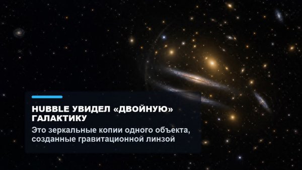 file_103210970