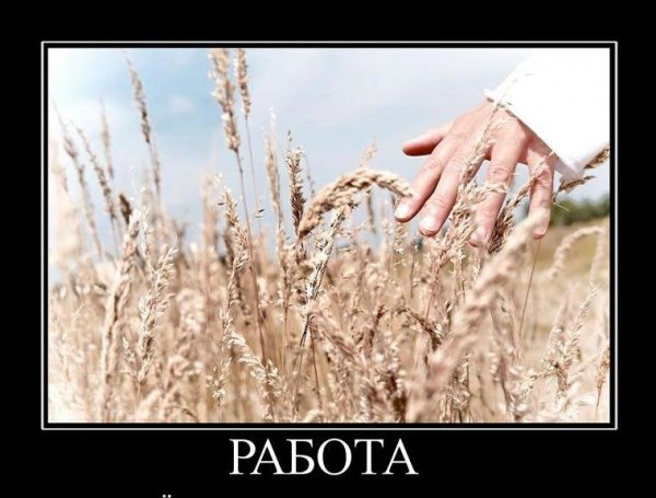 РАБОТА
