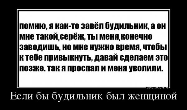file_64798658
