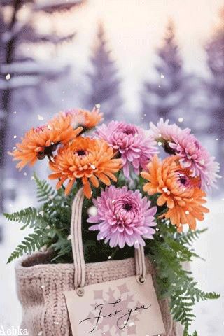 file_98868528