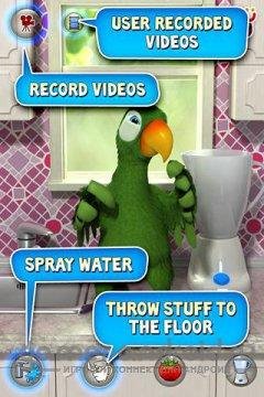 talkingpierre-the-parrot-v1