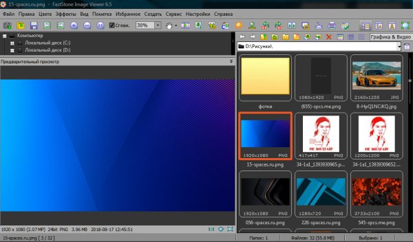 FSViewerSetup65