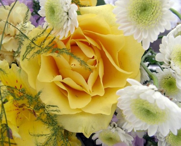 file_77497301