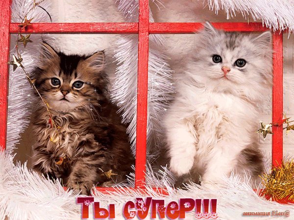 Ты супер!