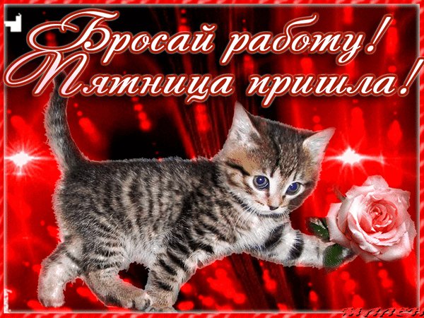 file_100590140
