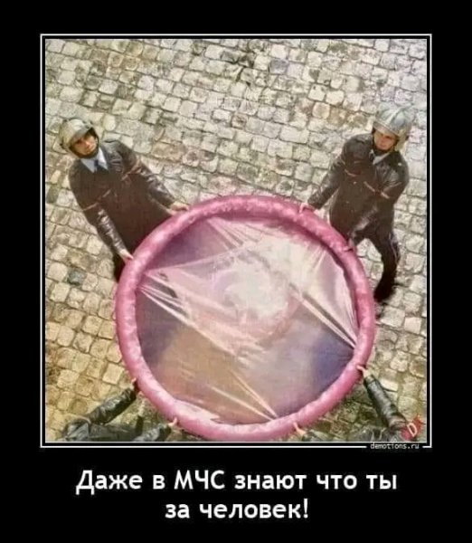 file_97936482