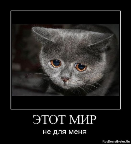 Этот мир не для меня