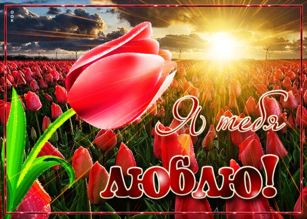 любовь 190005