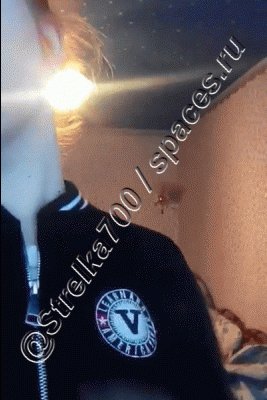 GIF @Strelka700- Бжик-бжик...