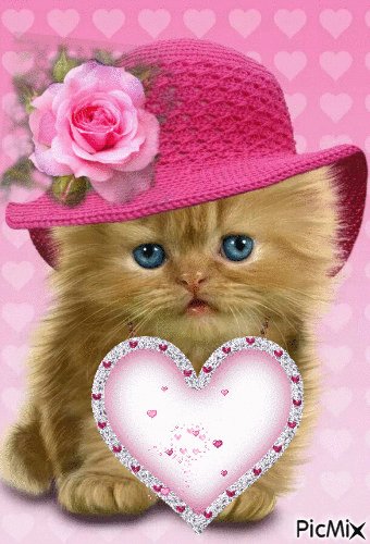 chat coeur
