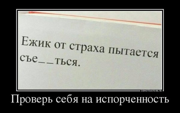 file_65494503