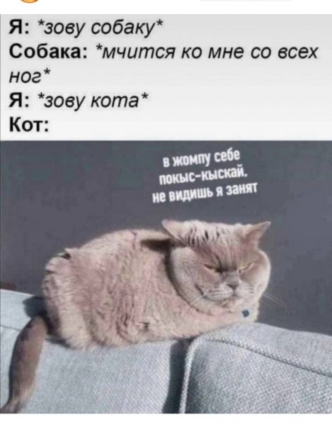 07hV0246XeYHkdB3Q7DkT jzLAKovE99 CL5T