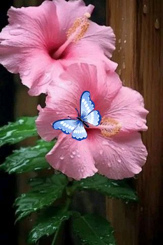 file_96911065
