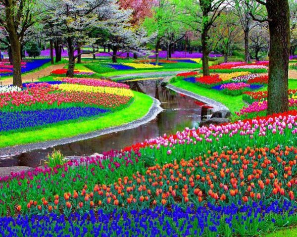 getImage (4)