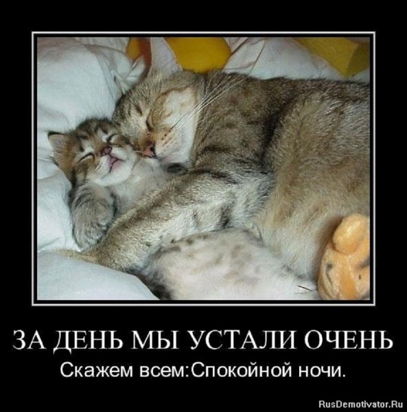 СКАЖЕМ ВСЕМ СПОКОЙНОЙ НОЧИ!
